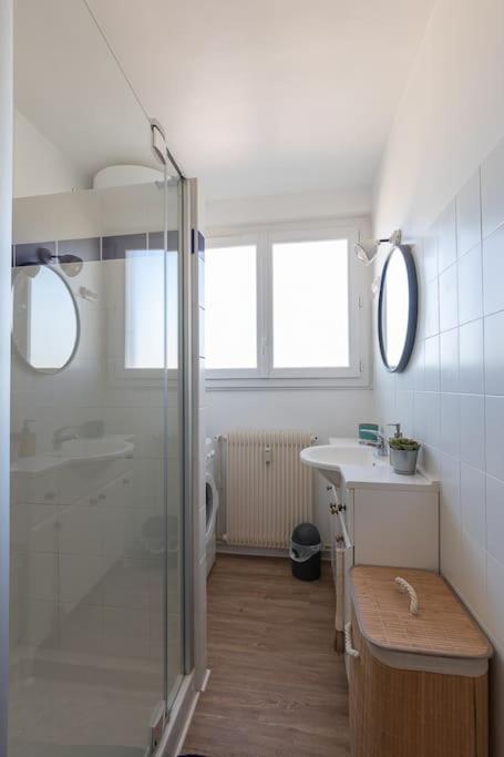 Cabana & Grand Appartement Cosy - Parking & Balcon Villefranche-sur-Saone Bagian luar foto