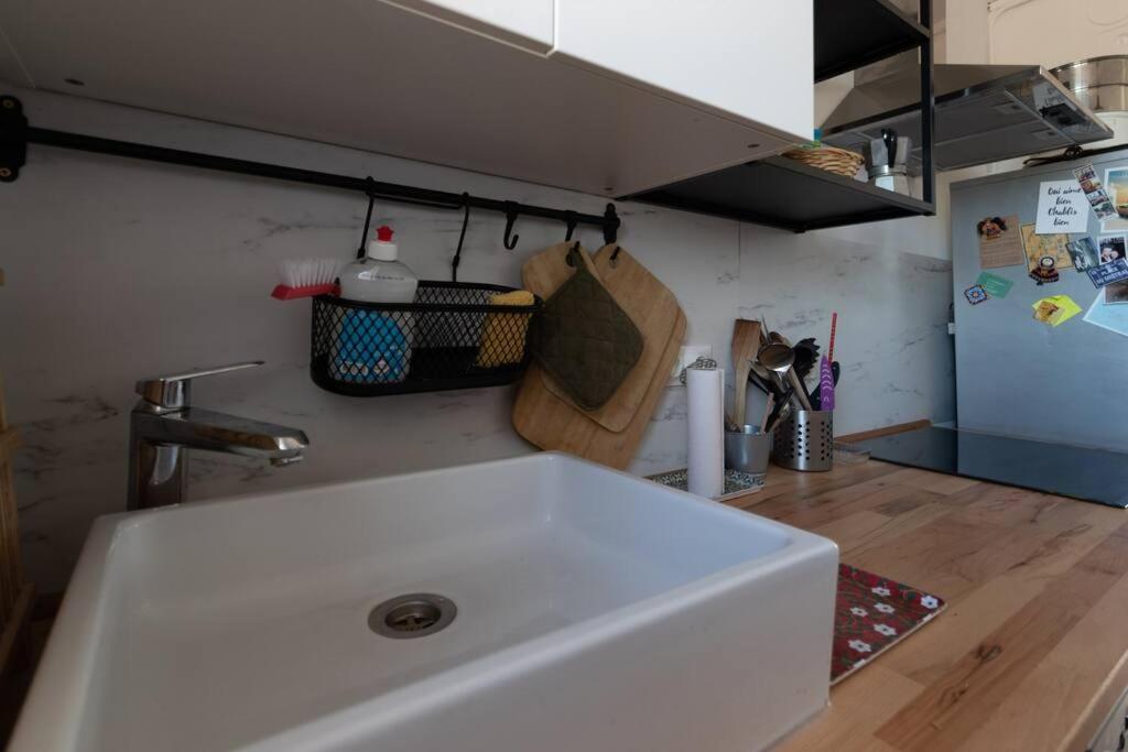 Cabana & Grand Appartement Cosy - Parking & Balcon Villefranche-sur-Saone Bagian luar foto